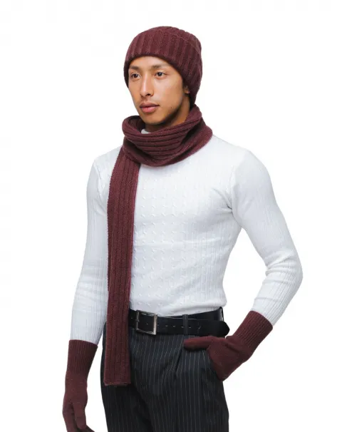 cashmere scarf, hat and gloves in deep plum 